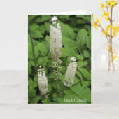 In het fraaie tuinprijscitaat van Friendship Kaart (Gele Bloem)