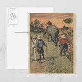 In het Frans Congo heeft olifant getraind om te pl Briefkaart (Voorkant / Achterkant)