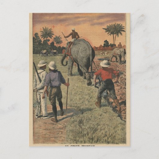 In het Frans Congo heeft olifant getraind om te pl Briefkaart (Voorkant)