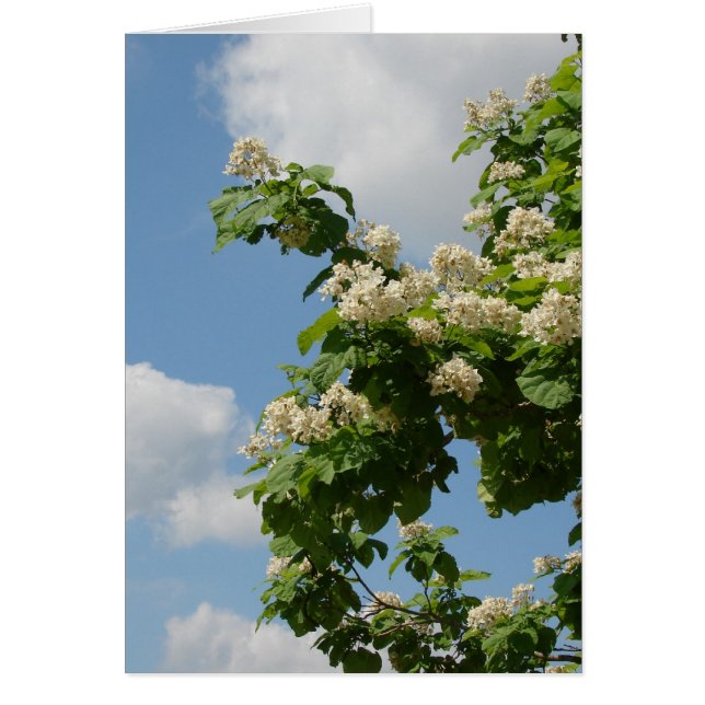 In het geheel (Voorkant)