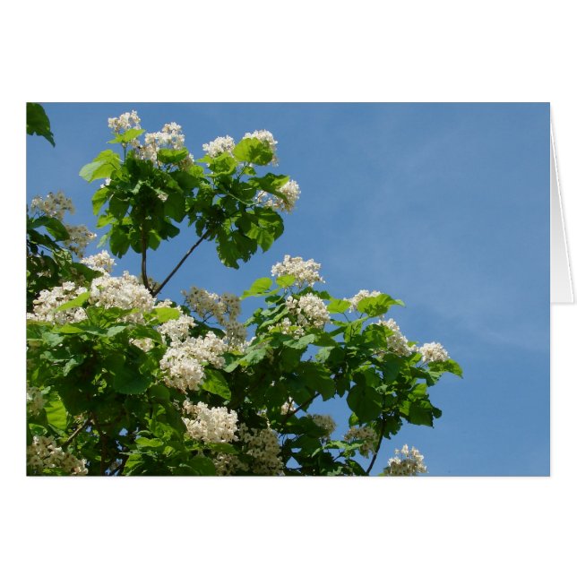 In het geheel (Voorkant Horizontaal)