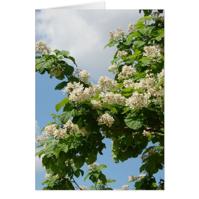 In het geheel (Voorkant)