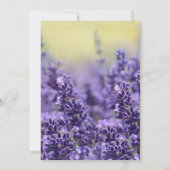 In het Geheugen van Elegant Lavender Funeral Photo Kaart (Achterkant)