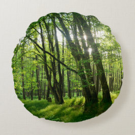 In het groene woud rond kussen