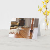 In het groot vernietiging kaart (Gele Bloem)