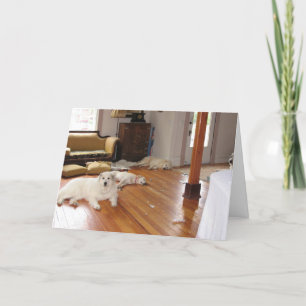 In het groot vernietiging kaart