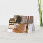 In het groot vernietiging kaart (Voorkant)