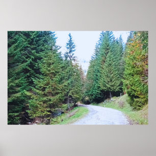 In het Hart van het Bos - Wilde Natuur Roemenië Poster