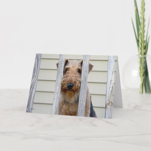 "In het hondenhok" Kaart (Voorkant)