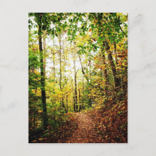 In het Hout Briefkaart