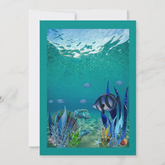 In het kader van de uitnodiging van de Zee (Voorkant)