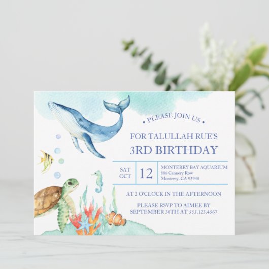 In het kader van de uitnodiging van de Zee van Bir (Staand voorkant)