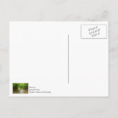 In het kreekje briefkaart (Achterkant)