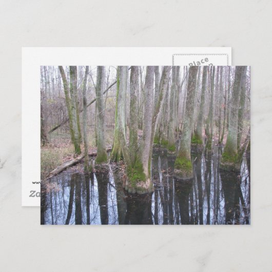 In het land van Makebelieve Briefkaart (Voorkant / Achterkant)