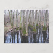 In het land van Makebelieve Briefkaart (Voorkant)