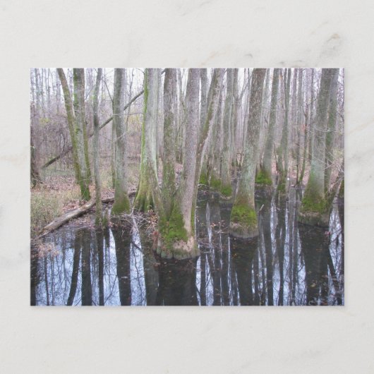 In het land van Makebelieve Briefkaart (Voorkant)