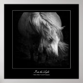 In het licht - Dartmoor Pony Poster (Voorkant)