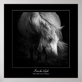 In het licht - Dartmoor Pony Poster