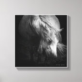 In het licht - Dartmoor Pony SMALL Canvas Afdruk (Voorkant)
