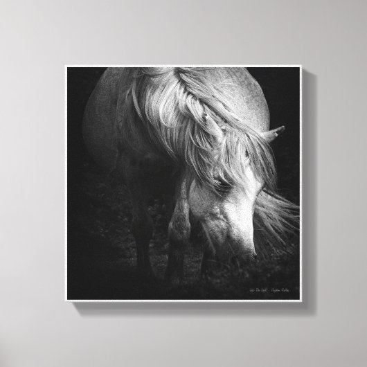 In het licht - Dartmoor Pony SMALL Canvas Afdruk (Voorkant)