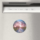 In het licht magneet (Insitu (Vaatwasser))