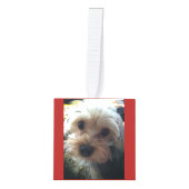 In het liefdevolle geheugen Gepersonaliseerde Pet  Decoratie (Voorkant)