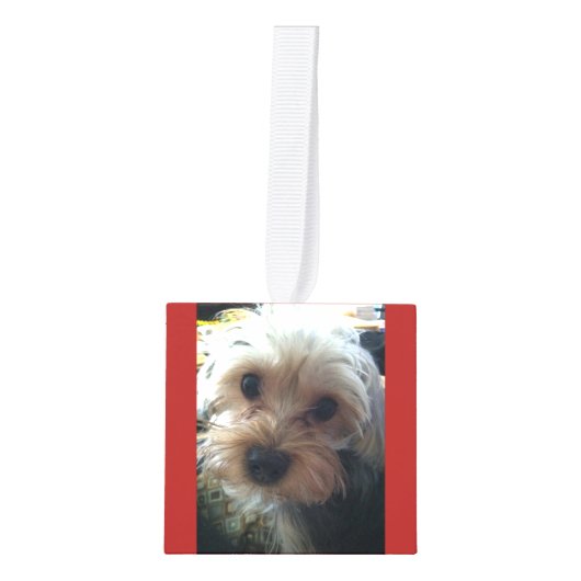 In het liefdevolle geheugen Gepersonaliseerde Pet  Decoratie (Voorkant)