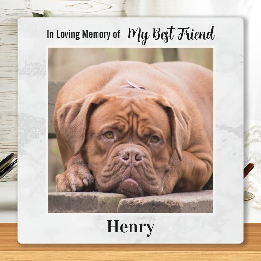 In het liefhebben van geheugen - Man beste vriend( Fotoplaat