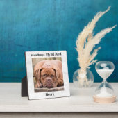 In het liefhebben van geheugen - Man beste vriend( Fotoplaat (Insitu)