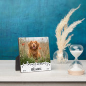 In het liefhebben van geheugen Modern Keepomwille  Fotoplaat (Insitu)