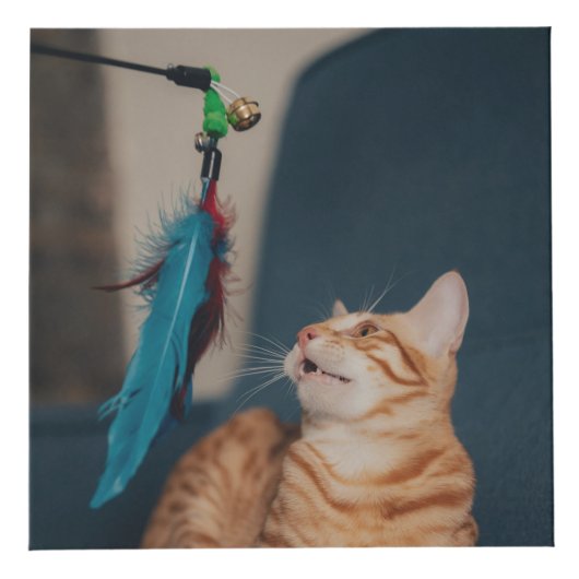 In het liefhebben van het hart van het geheugen va kubus (Rechts)