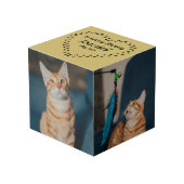 In het liefhebben van het hart van het geheugen va kubus (Voorkant hoekig)