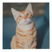 In het liefhebben van het hart van het geheugen va kubus (Voorkant)