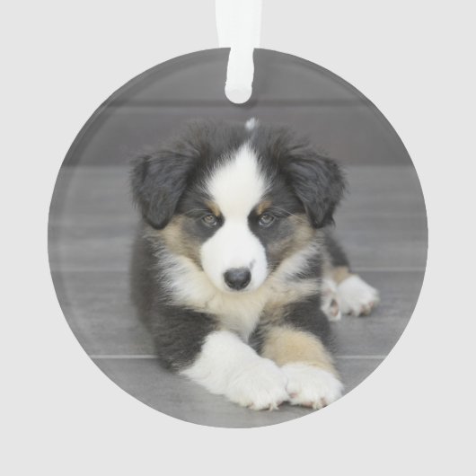 In het liefhebben van Memory Pine WreatPhoto Pet M Ornament (achterkant)