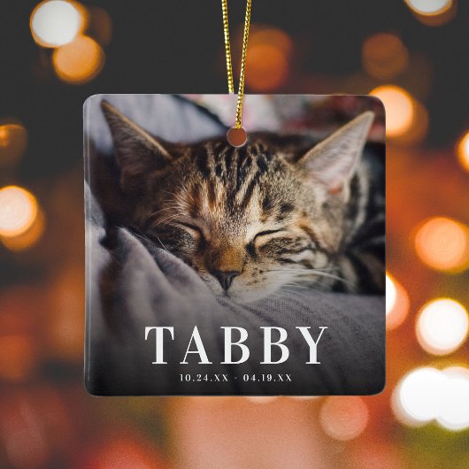 In het liefhebbende Memory Pet Memorial Cat Tribut Keramisch Ornament