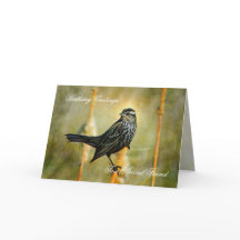 In het Limelight Birthday Wenskaart