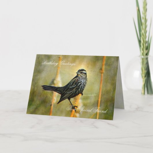 In het Limelight Birthday Wenskaart Kaart (Voorkant)