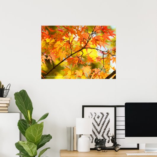 In het najaar lekt [Value Poster Paper] (Thuiskantoor)