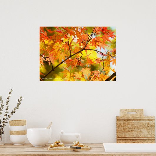 In het najaar lekt [Value Poster Paper] (Keuken)