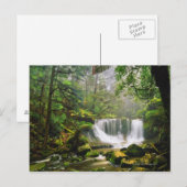 in het Nationaal Park Mount Field Briefkaart (Voorkant / Achterkant)
