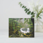 in het Nationaal Park Mount Field Briefkaart (Staand voorkant)