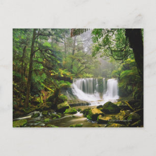 in het Nationaal Park Mount Field Briefkaart