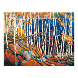 In het Noordland door Tom Thomson Foto Afdruk