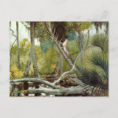 In het Oerwoud Florida Winslow Homer Briefkaart (Voorkant)