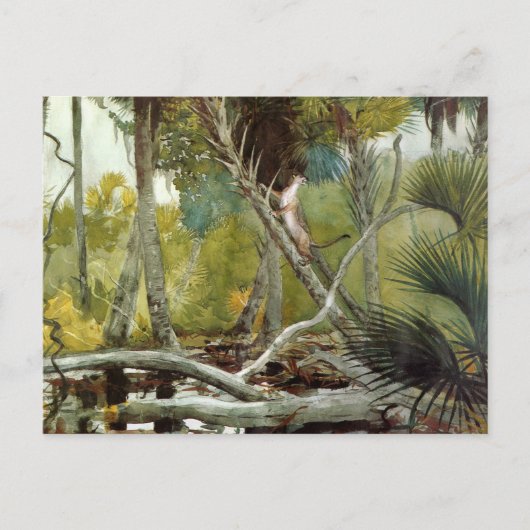 In het Oerwoud Florida Winslow Homer Briefkaart (Voorkant)