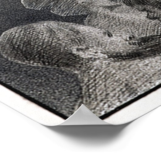 In het Onbekende 1901 Poster (Hoek)