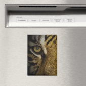 In het oog van een tijger magneet (Insitu (Vaatwasser))
