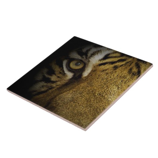 In het oog van een tijger tegeltje (Zijkant)