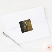 In het oog van een tijger vierkante sticker (Envelop)