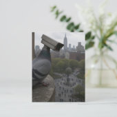 in het park Een surreële bewakingscamera duif Briefkaart (Staand voorkant)